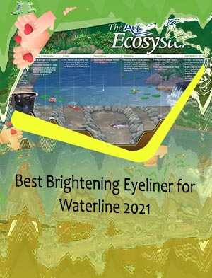 Best liner for water line