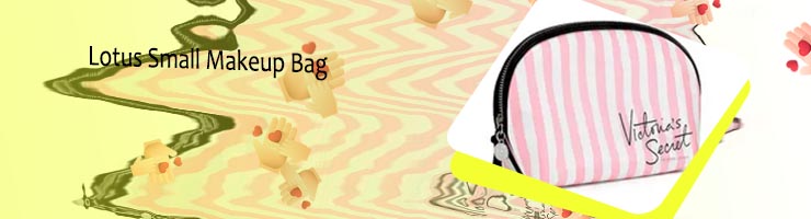 Cute small makeup bags