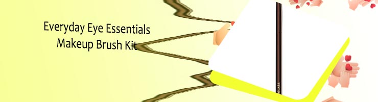 Eyeliner smudge brush